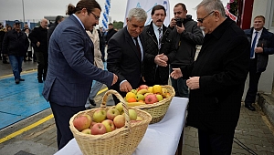 Sebze ve Meyve Hali açıldı