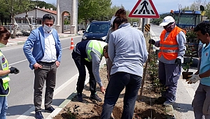 Bayramiç'te orta refüjlerde çalışma