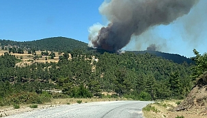 Çanakkale Yenice'de yangın !