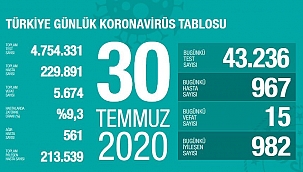 Türkiye 30 Temmuz koronavirüs tablosu