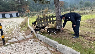 Emniyet ekipleri can dostlarımızı unutmadı