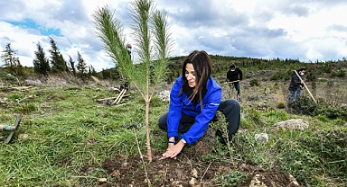 Enerjisa Üretim 1 milyonu aşkın fidan dikiyor