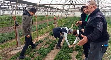 Yabancı otlarla mücadele çalışmaları başladı